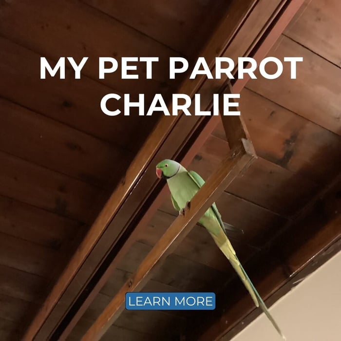 My Pet Parrot Stories: Lindsay & Charlie