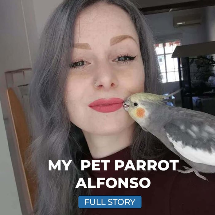 My Pet Parrot Stories: Marijke & Alfonso