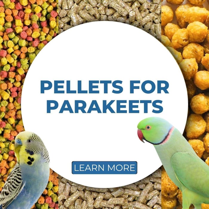 Pellets for Parakeets: The Complete Guide to Choosing the Best Nutrition