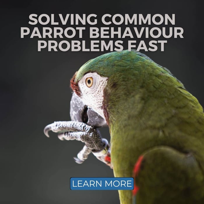 Solving Common Parrot Behaviour Problems Fast