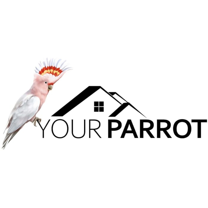 Your Parrot Parrot Food Available at Parrot Essentials