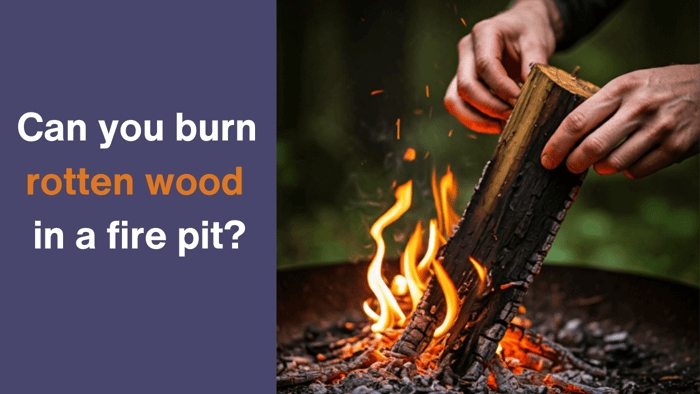 A close-up image of a hand placing a piece of rotten wood onto a fire. The wood is dark and decaying, with visible signs of mold and rot.