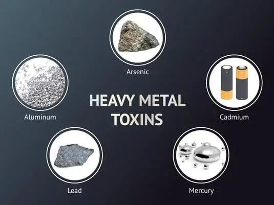Understanding the Effects of Heavy Metals on Your Health
