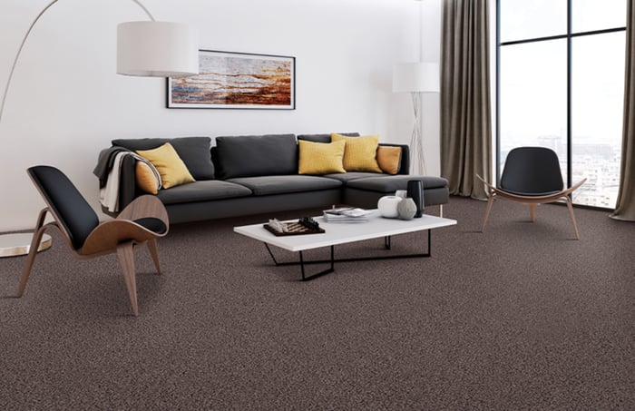 Carpet: FAQs