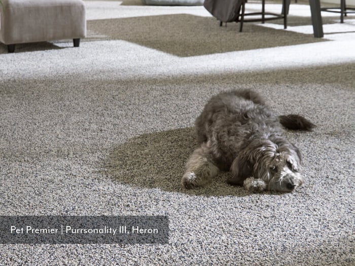 Bark to Basics: Best Flooring for Pets 2026