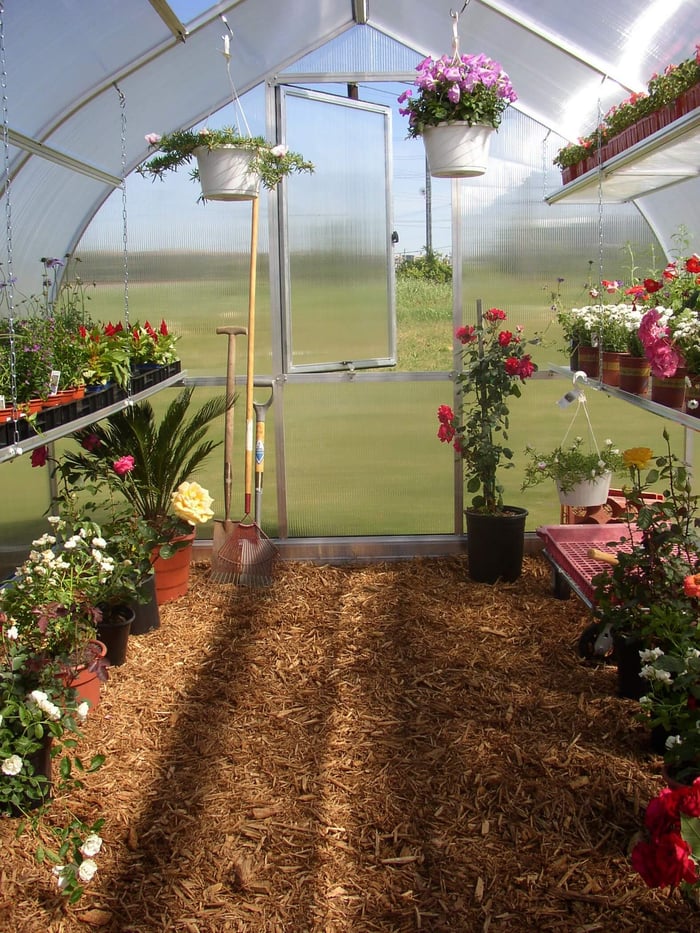 what can i grow in a greenhouse inside colorado