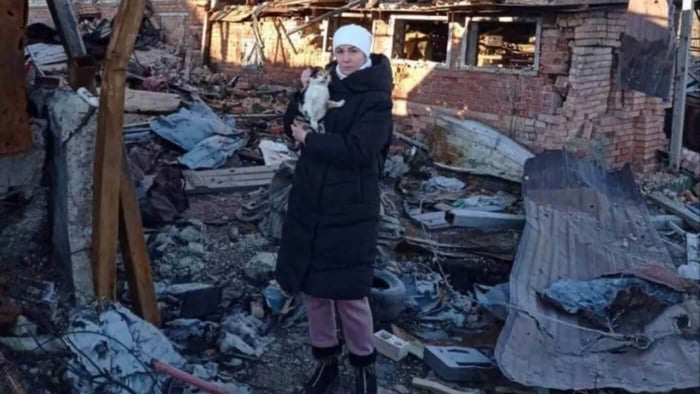 1,600 Tons of Food Required Monthly for Abandoned Animals in Ukraine