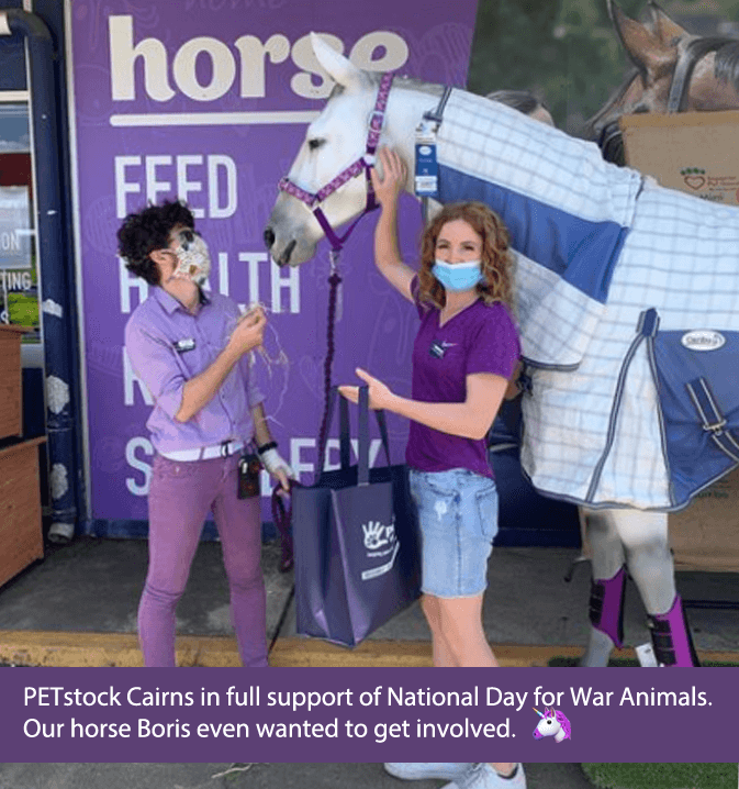 The Purple Poppy brings communities together.