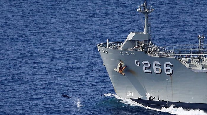 DOLPHINS ACCOMPANY RETURNING SAILORS