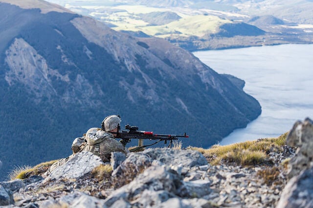 A NEW ZEALAND WOLF IN SHEEP'S CLOTHING