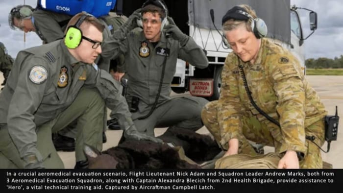 Critical Care for Canine Warriors