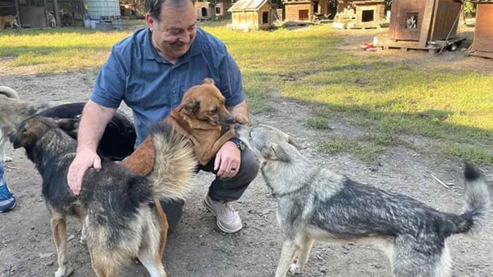 Hands for Paws: Australians provide aid for abandoned Ukraine animals
