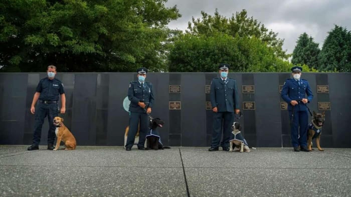 National Day for War Animals