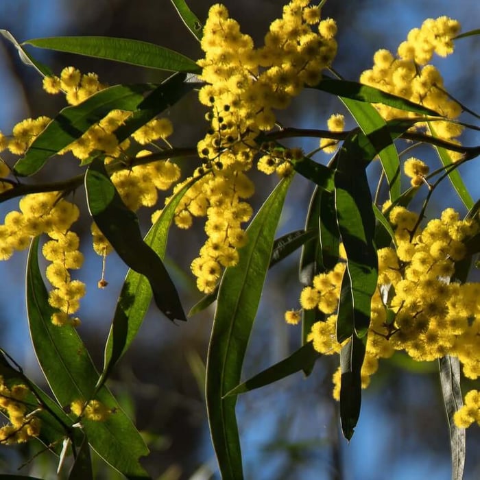 Remembrance and Resilience