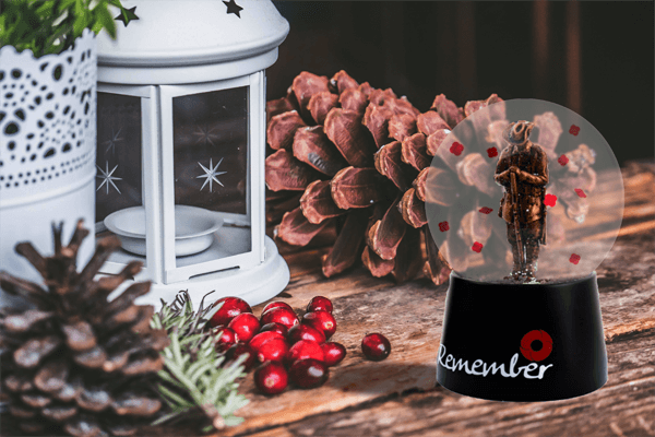 Beyond Remembrance Day