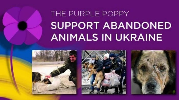 The Hon. Mark Pearson MLC Commends and Supports the Work of Australian Animal Aid for Animals in Ukraine