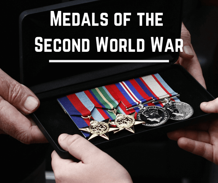 Medals of World War 2 - WW2 Pacific Set