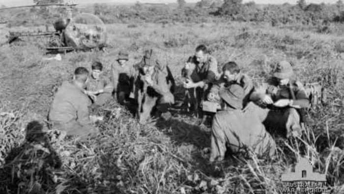 Vietnam: The War Australia Won