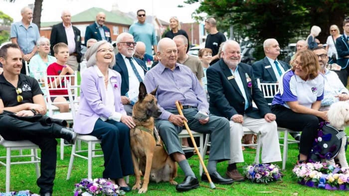 Host A War Animal Day Event