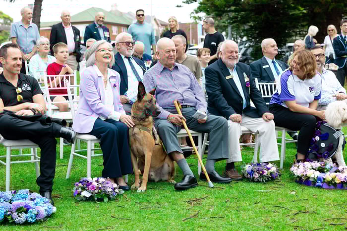 Host A War Animal Day Event