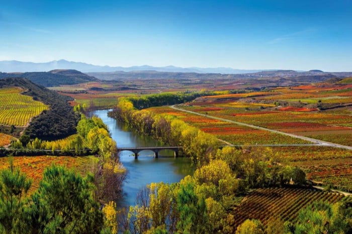 Region: Rioja
