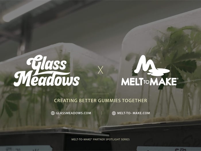 Glass Meadows + Melt-to-Make | Premium Gummies in New Jersey