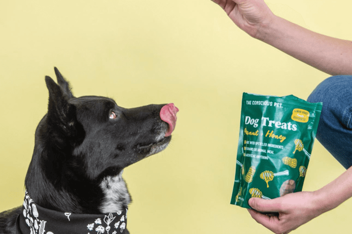 Creator Chat: Jessica of The Conscious Pet