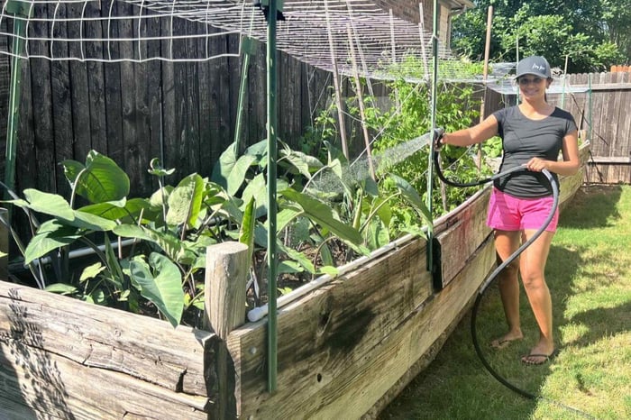 How the Garden Inspired Hyve