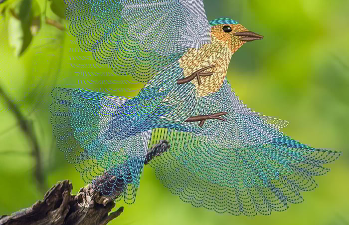 Use Spiral Fill to digitize a realistic bird design