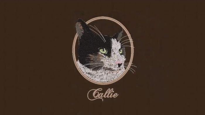 Creating freehand embroidery with Wilcom’s EmbroideryStudio