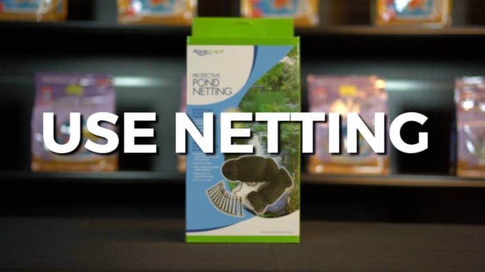 The Ultimate Pond Cleaning Checklist