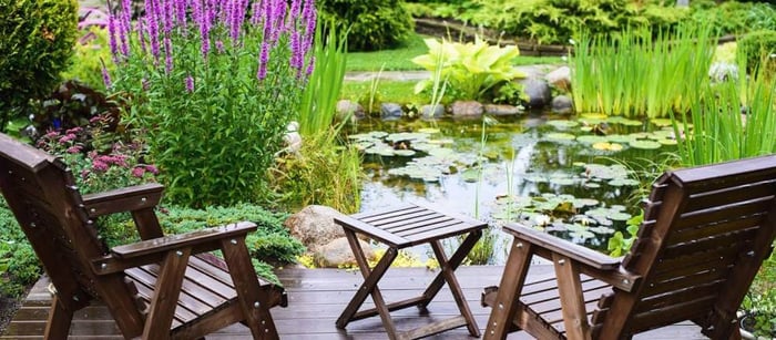 How to Build a Backyard Pond [+ Your Supply Checklist]