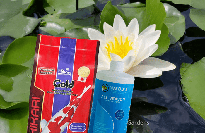 Test to See Bullets Without Any Custom CSS