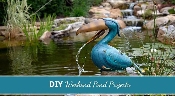 8 DIY Pond Projects (That can be completed in a weekend!)