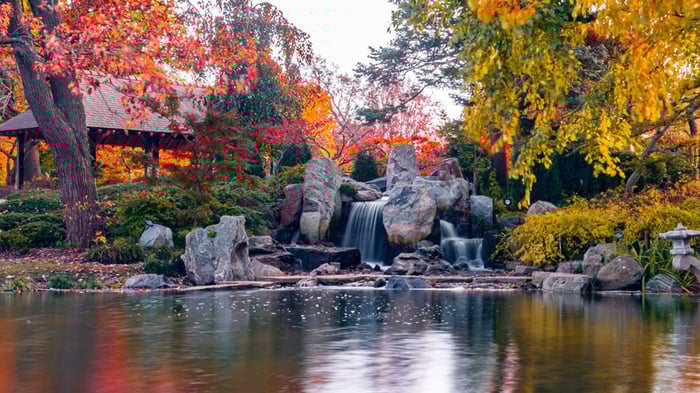 Fall Pond Maintenance: 7 Tips to Employ during the Changing Seasons