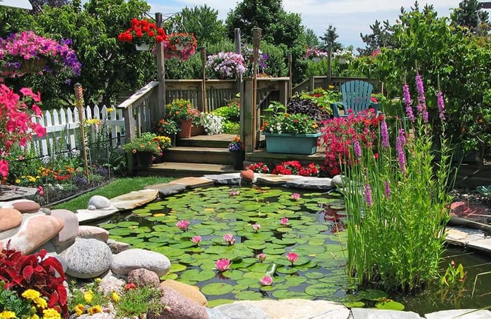 Best Floating Pond Plants for Shade, Filtration & Fish Shelter