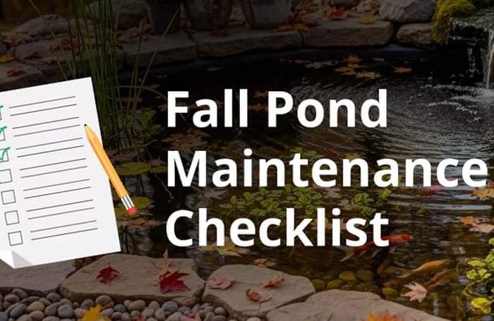 Fall Pond Maintenance Checklist by Water Temperature