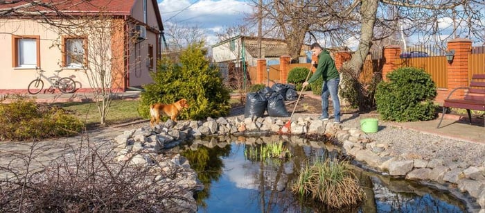 Spring Startup Tips for Backyard Koi Ponds