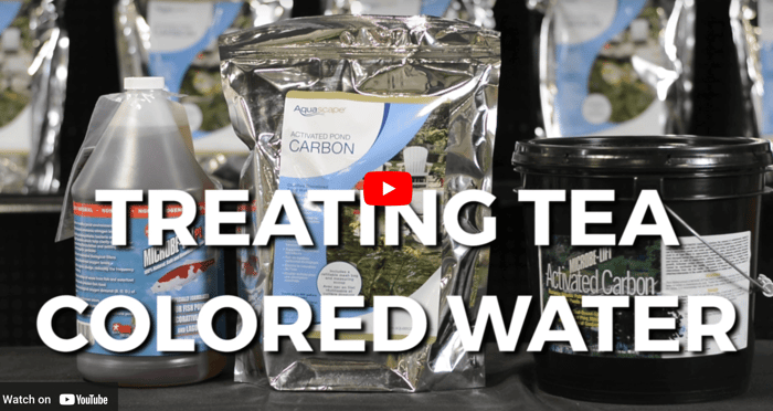 How To: How to Treat Tea Colored Pond Water