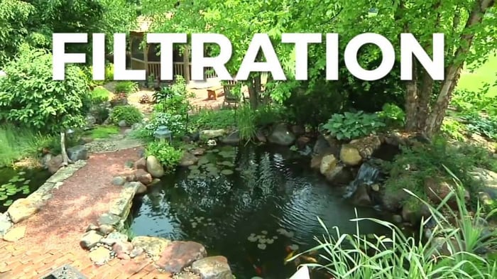 Pond Foam | All you need to know about