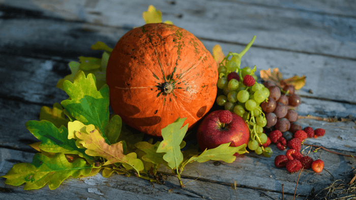 Harvesting the Gold: Talent Mapping for Leadership Success