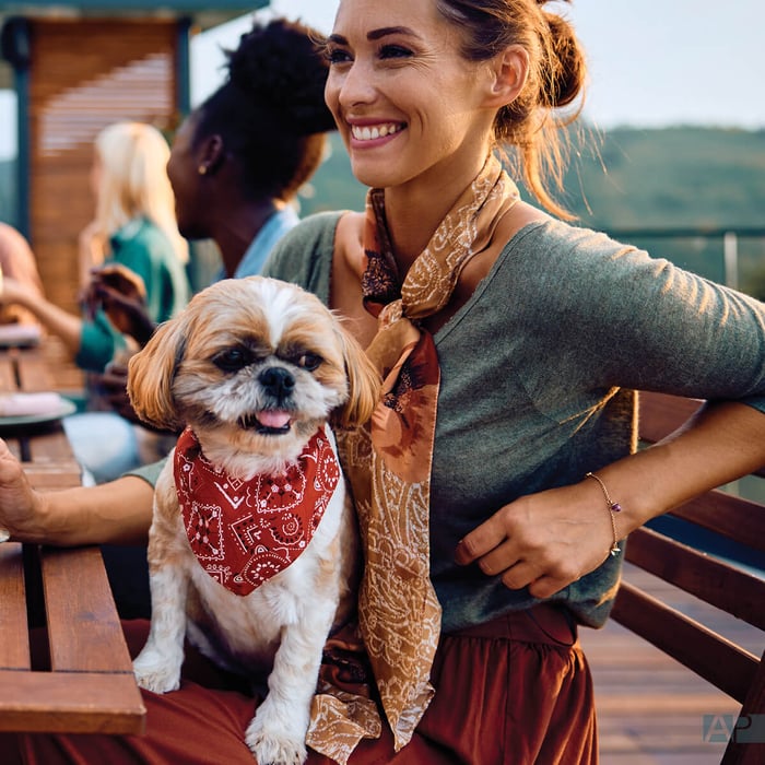 Pet Safety Guide: Paws, Picnics & Peace of Mind