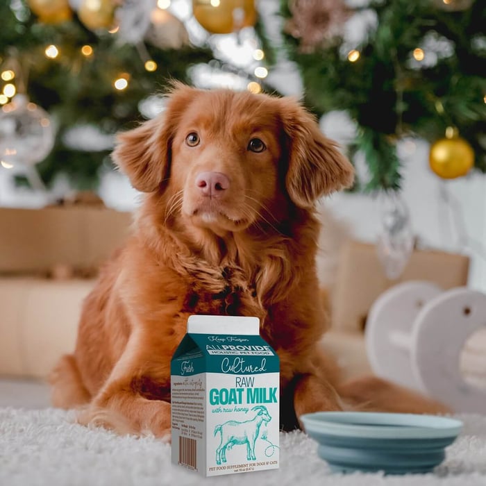 Healthy Holiday Raw Goat Milk Recipes for Dogs