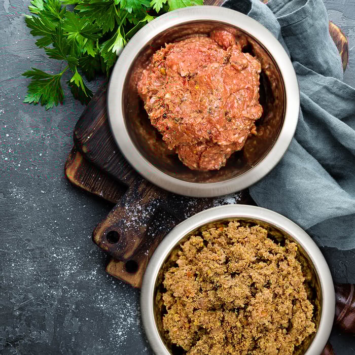 The Science of Nutrient Retention: Is Raw or Gently Cooked Pet Food Better?