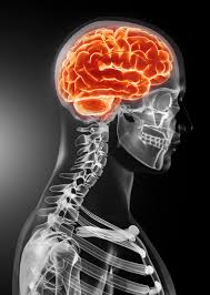 4 Steps That Determine Which Business Phone System To Buy