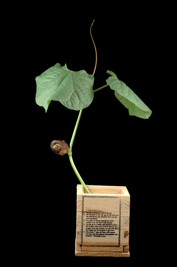 4 Signs An IT Network Upgrade Isn't Needed