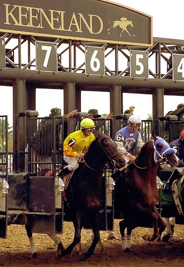 8 Reasons Why SMB Are Choosing NETGEAR Switches