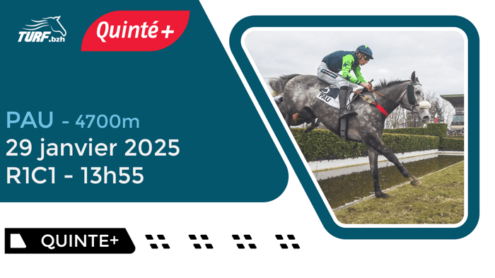 Quinté Pau : Analyse et Pronostic du 29 Janvier 2025