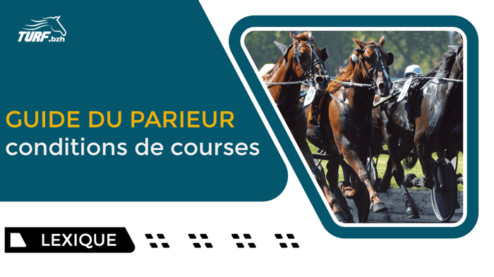 Conditions de course au galop et trot : guide complet du parieur
