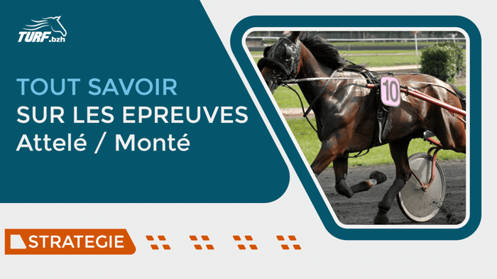 Comprendre les types de courses de trot pour bien parier #2
